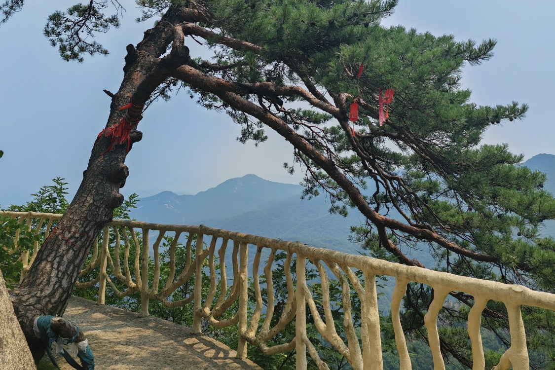 Jixi Phoenix Mountain